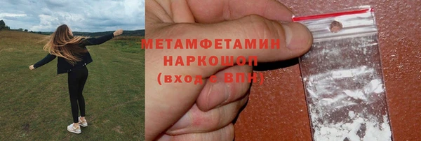шишки Новодвинск
