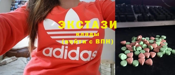 шишки Новодвинск