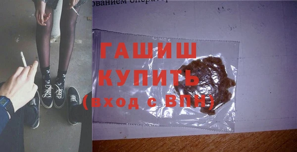 шишки Новодвинск