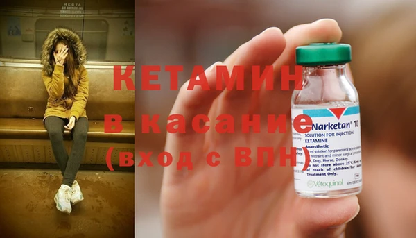 шишки Новодвинск