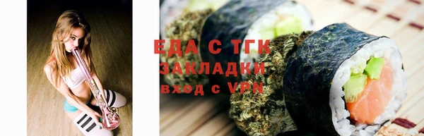 шишки Новодвинск
