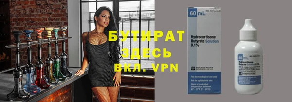 шишки Новодвинск
