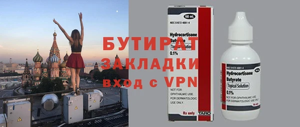 шишки Новодвинск