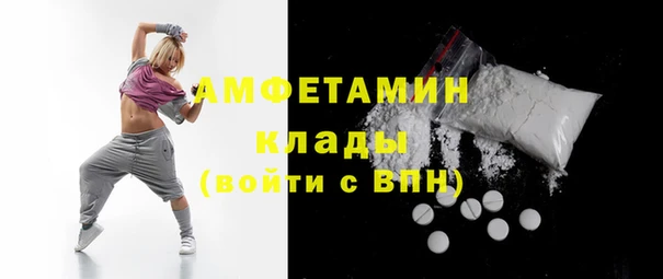 шишки Новодвинск