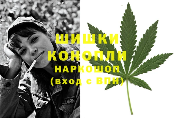 шишки Новодвинск
