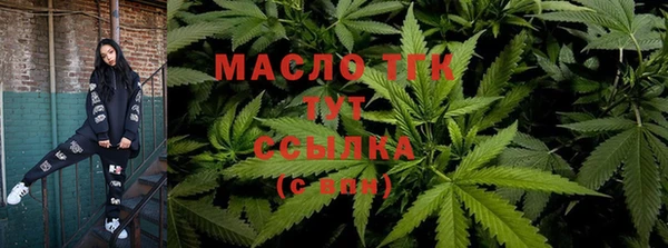 шишки Новодвинск