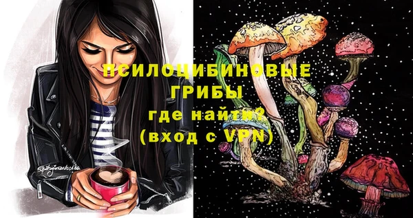 шишки Новодвинск