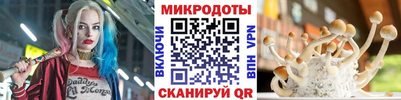 наркотики  Сорск  Галлюциногенные грибы MAGIC MUSHROOMS 